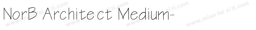 NorB Architect Medium字体转换